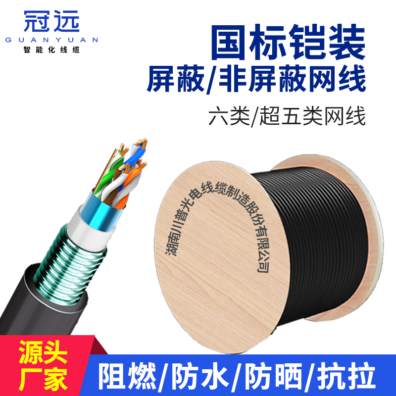 铠装网线 2